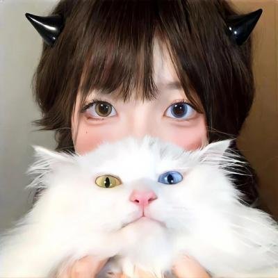 直捣黄龙